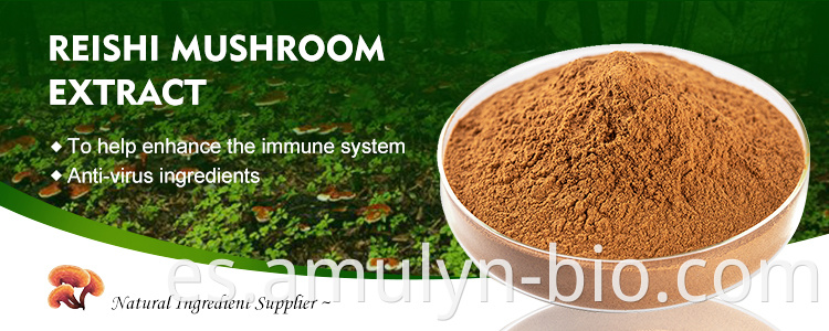 Reishi mushroom extract